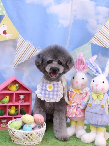 20240327るいくん